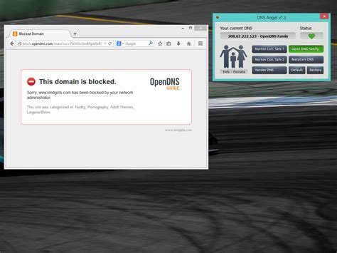 DNS Angel 1.7 Download