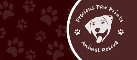 Animal Friends 2025
